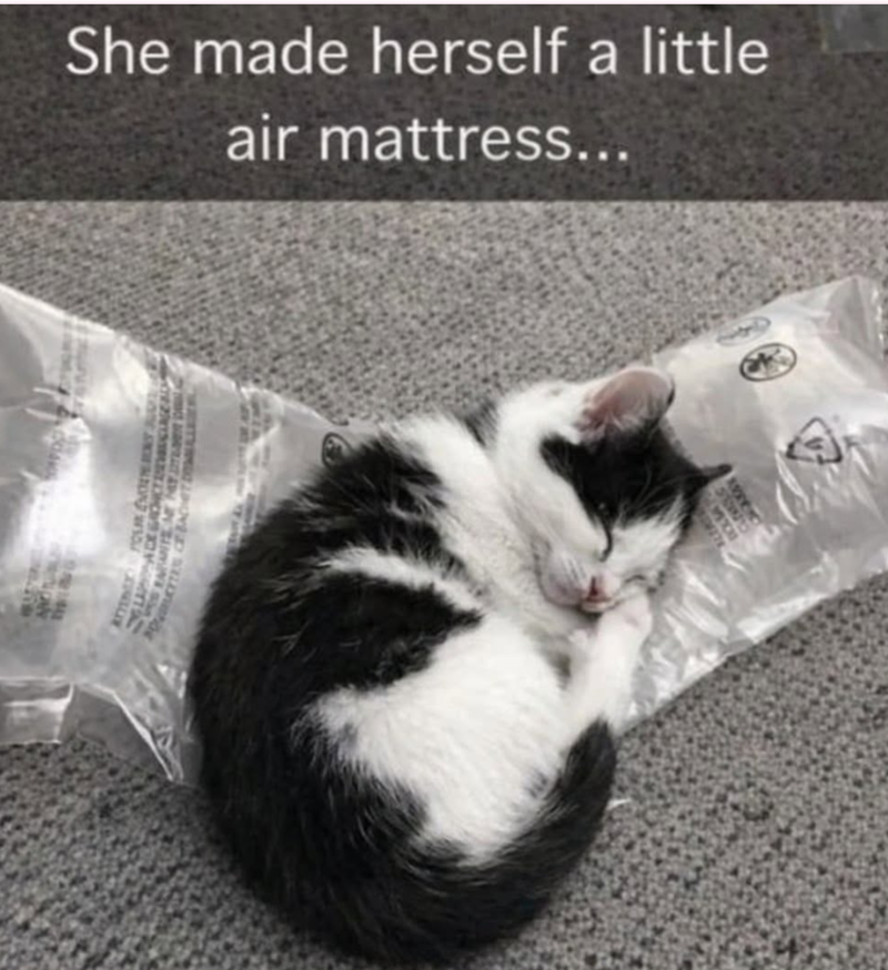 She made herself a little air mattress... AN ATTENE POSEY J PORUCITES CE BACHET DOLLAR STAND