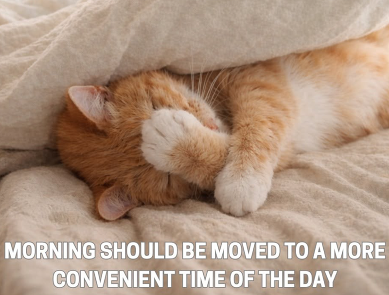 MORNING SHOULD BE MOVED TO A MORE CONVENIENT TIME OF THE DAY