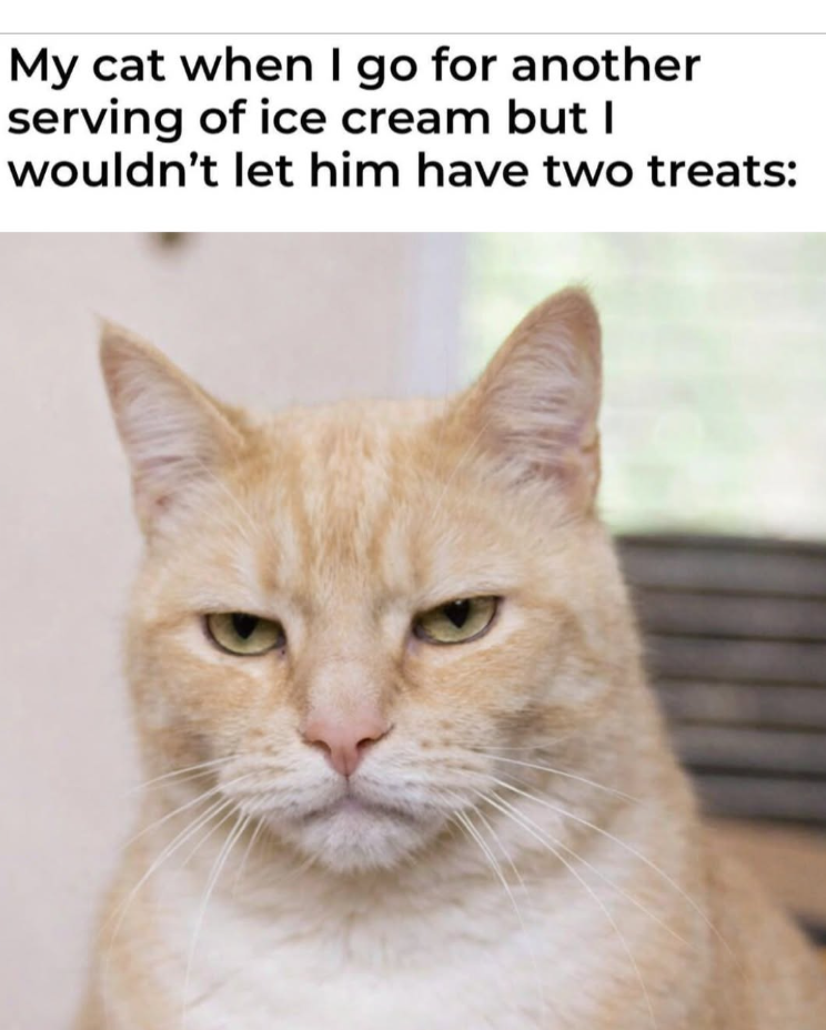 My cat when I go for another serving of ice cream but I wouldn't let him have two treats: