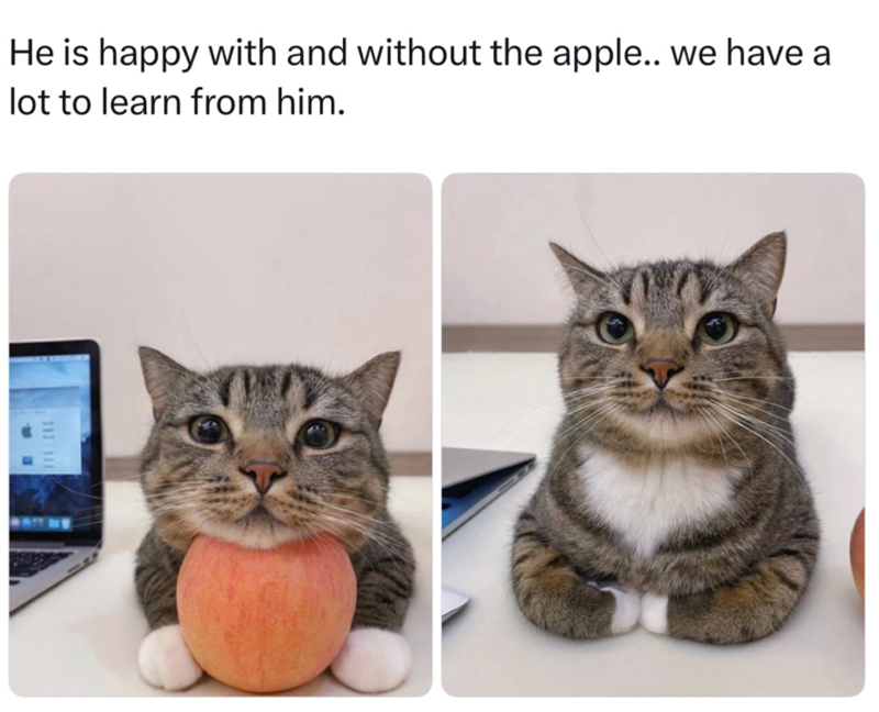 He is happy with and without the apple.. we have a lot to learn from him. 111 111