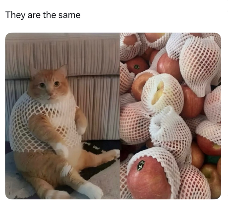 They are the same