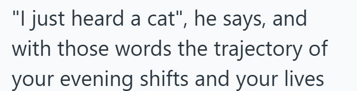 "I just heard a cat", he says, and with those words the trajectory of your evening shifts and your lives