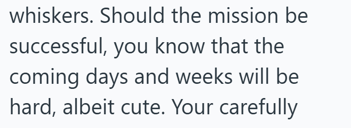 whiskers. Should the mission be successful, you know that the coming days and weeks will be hard, albeit cute. Your carefully