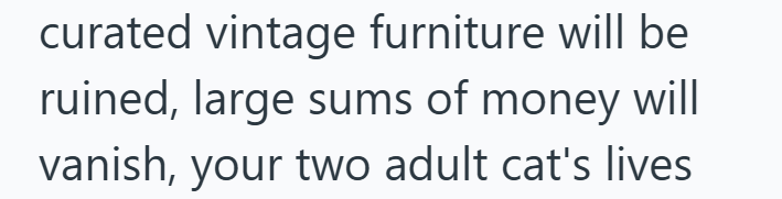 curated vintage furniture will be ruined, large sums of money will vanish, your two adult cat's lives