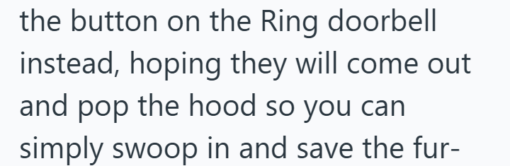 the button on the Ring doorbell instead, hoping they will come out and pop the hood so you can simply swoop in and save the fur-