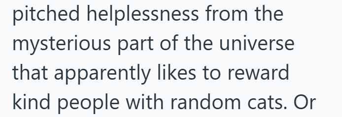 pitched helplessness from the mysterious part of the universe that apparently likes to reward kind people with random cats. Or