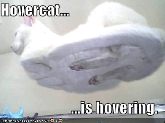 Hovercat.. ICANHASCHEEZBURGER.COM ...is hovering.