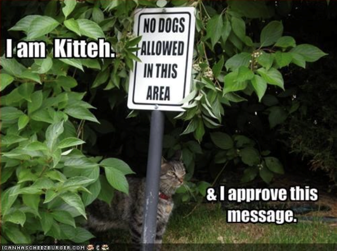 NO DOGS Iam Kitteh. ALLOWED IN THIS AREA ICANHASCHEEZBURGER.COM & I approve this message.