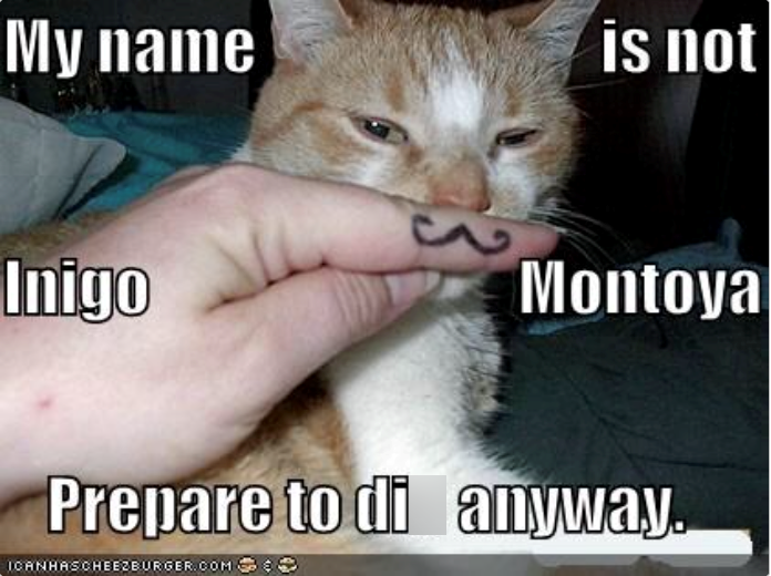 My name is not Inigo Montoya Prepare to di anyway. ICANHASCHEEZBURGER.COM