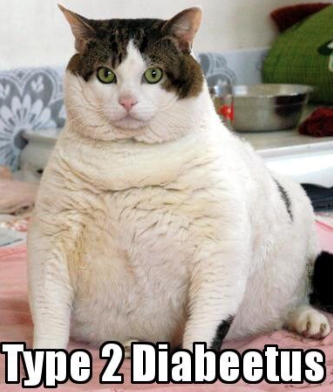 Type 2 Diabeetus