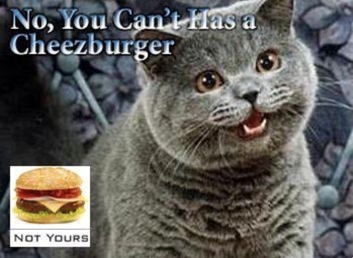 No, You Can't Has a Cheezburger NOT YOURS
