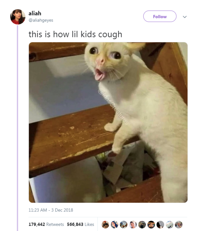 aliah @aliahgeyes this is how lil kids cough 11:23 AM - 3 Dec 2018 @ldasCreatures 179,442 Retweets 566,843 Likes Follow