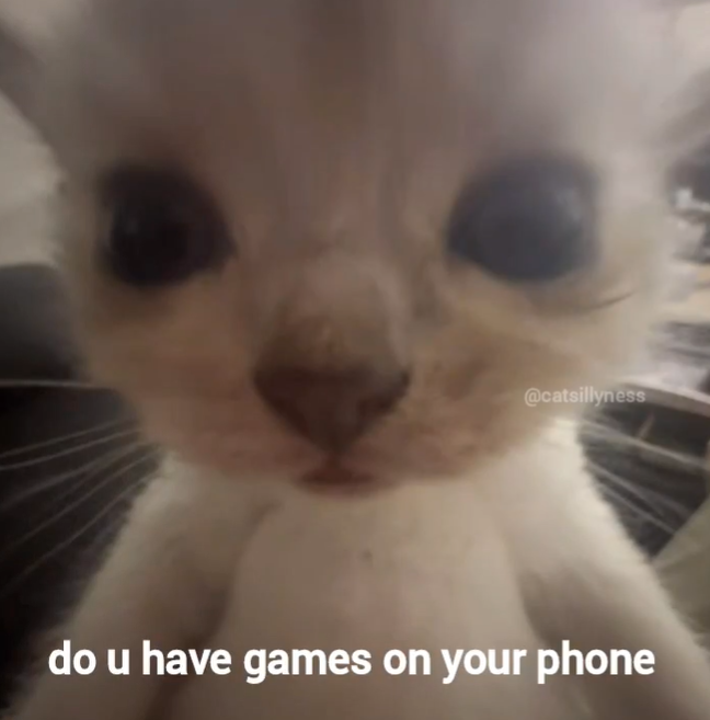 @catsillyness do u have games on your phone