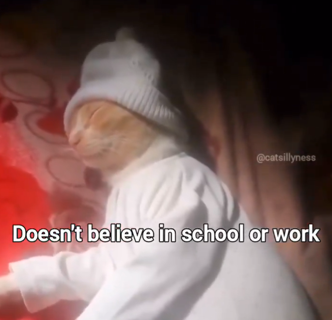 @catsillyness Doesn't believe in school or work