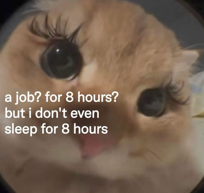 a job? for 8 hours? but i don't even sleep for 8 hours