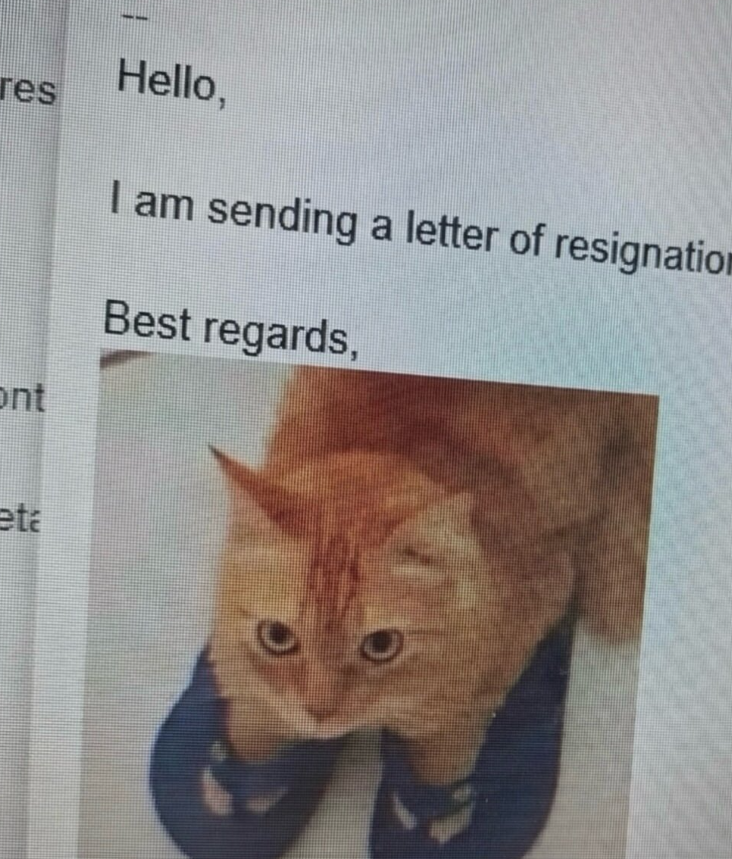 res Hello, ont eta I am sending a letter of resignation Best regards,