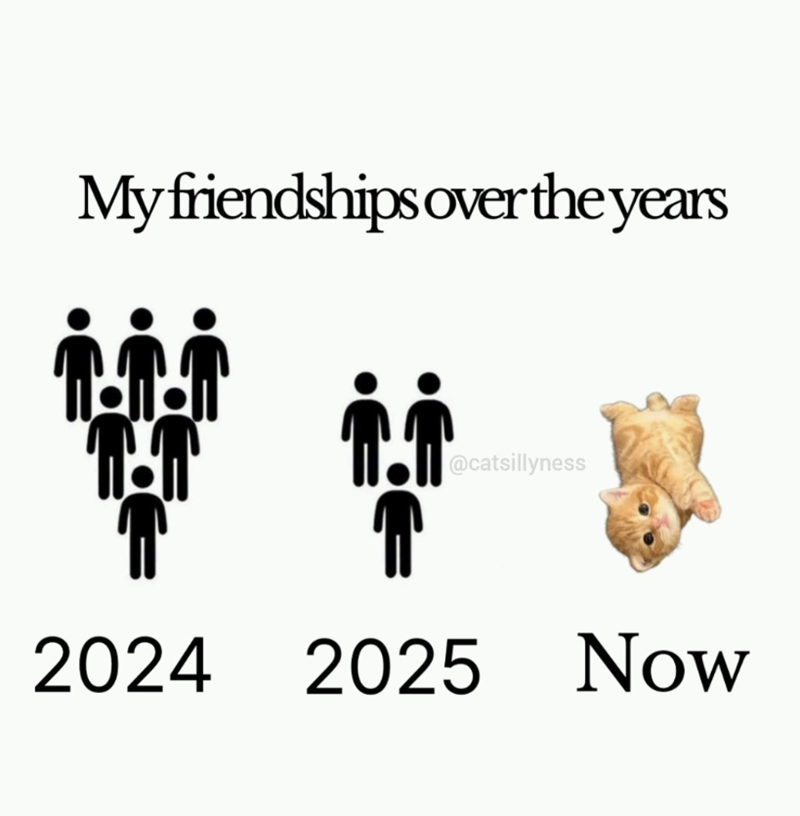 My friendships over the years @catsillyness 2024 2025 Now