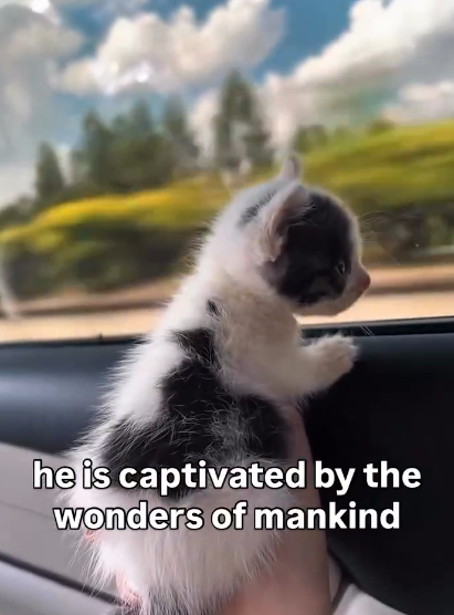 he is captivated by the wonders of mankind