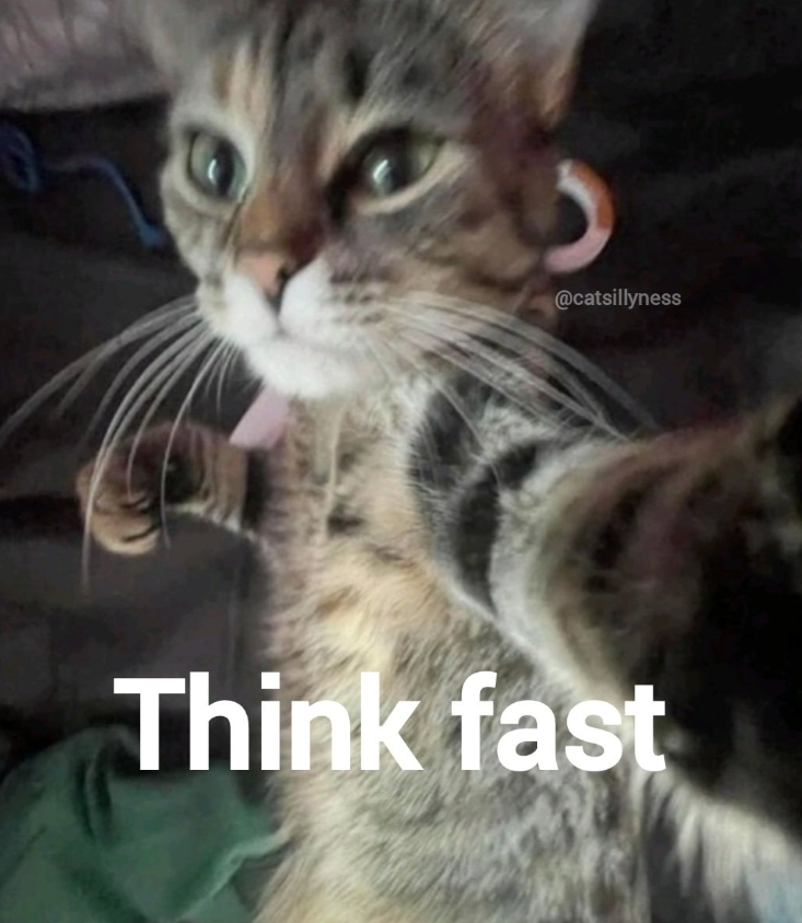 @catsillyness Think fast