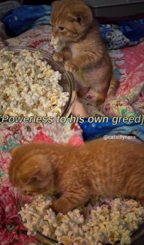 Powerless to his own greed] @catsillyness
