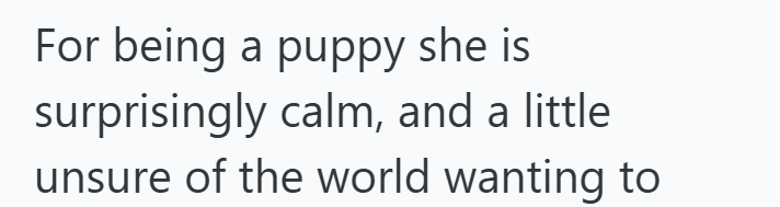 For being a puppy she is surprisingly calm, and a little unsure of the world wanting to