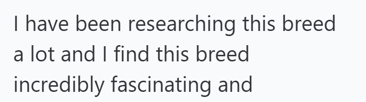 I have been researching this breed a lot and I find this breed incredibly fascinating and