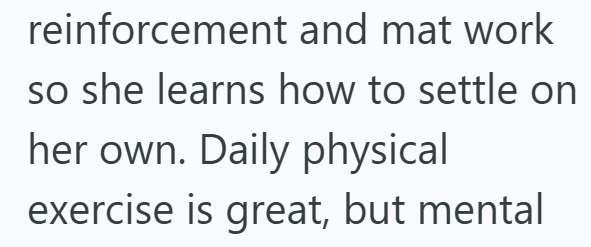 reinforcement and mat work so she learns how to settle on her own. Daily physical exercise is great, but mental