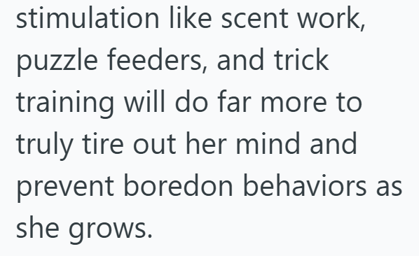stimulation like scent work, puzzle feeders, and trick training will do far more to truly tire out her mind and prevent boredon behaviors as she grows.
