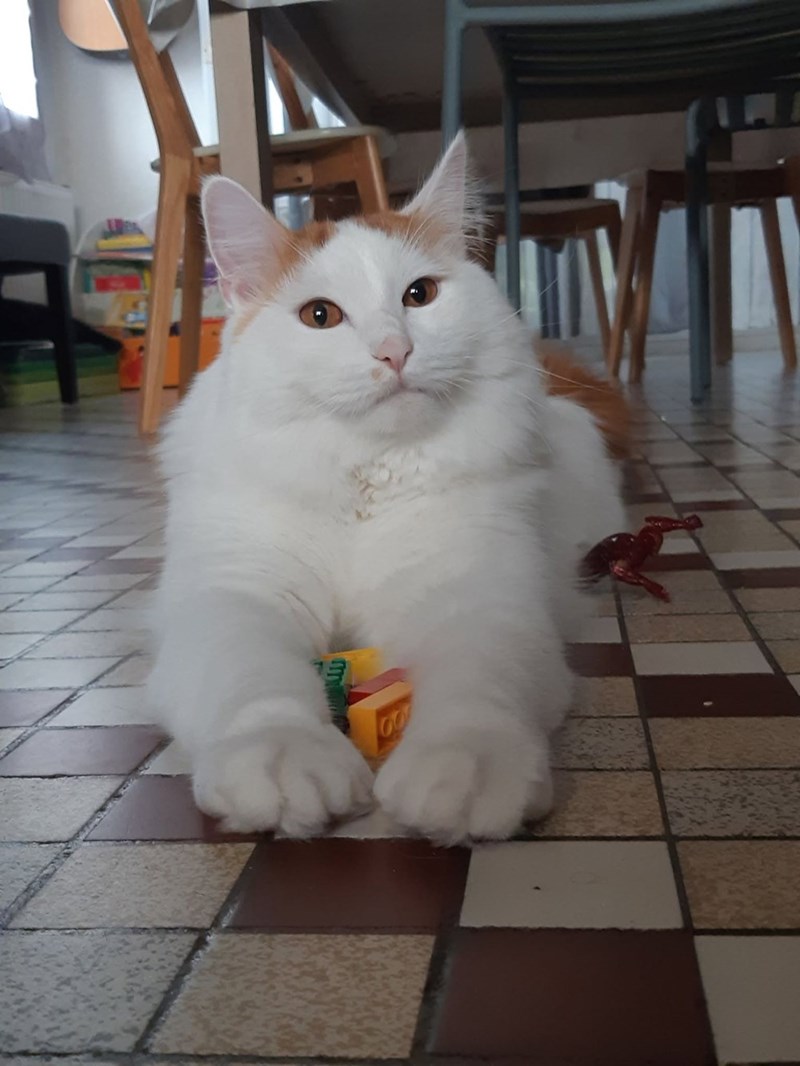 00