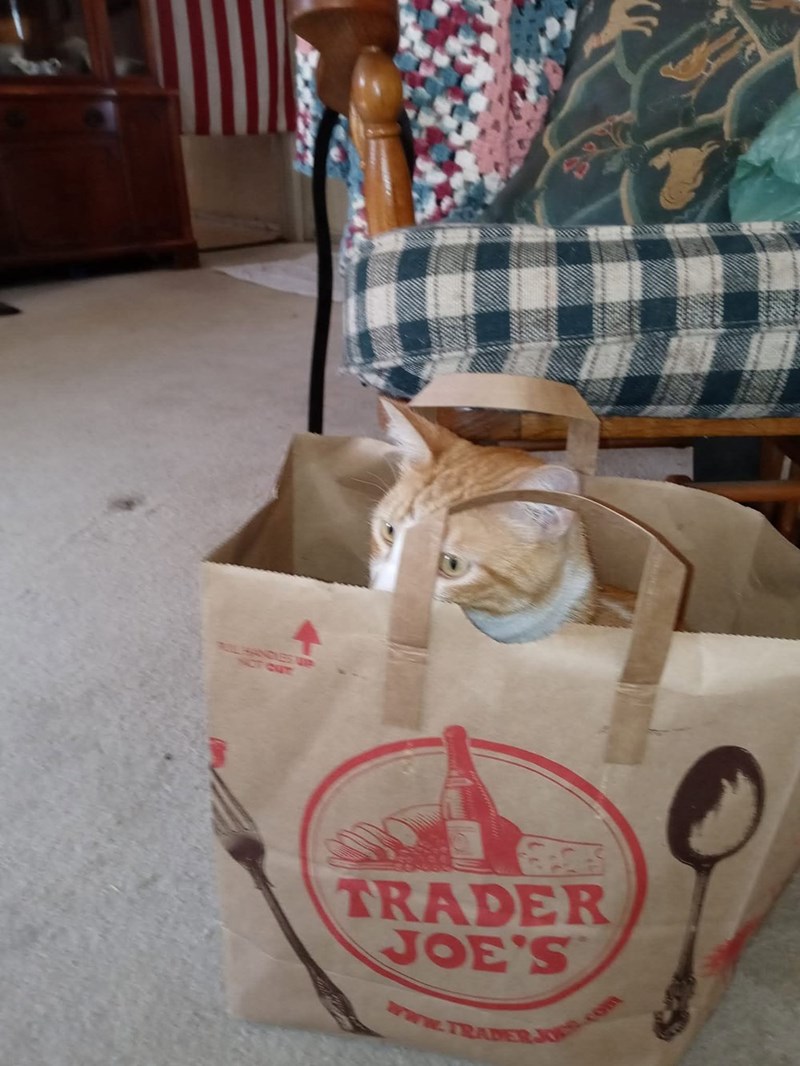 TRADER JOE'S www.TRADER.com