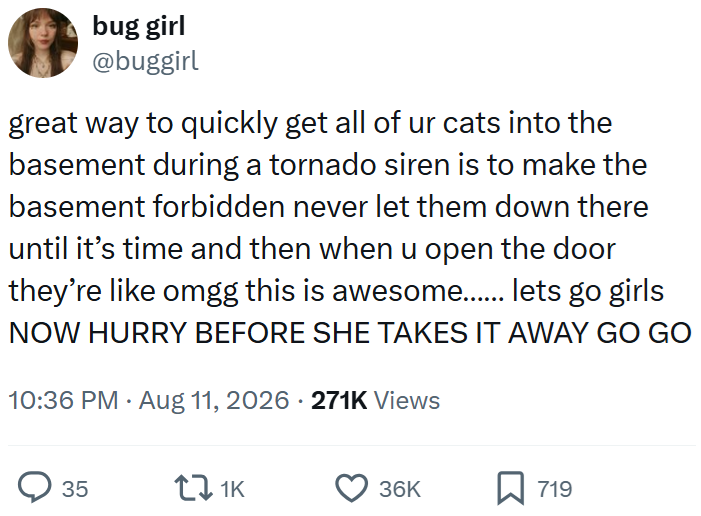 bug girl @buggirl great way to quickly get all of ur cats into the basement during a tornado siren is to make the basement forbidden never let them down there until it's time and then when u open the door they're like omgg this is awesome....... lets go girls NOW HURRY BEFORE SHE TAKES IT AWAY GO GO 10:36 PM • Aug 11, 2026 271K Views 35 17 1K 36K 719