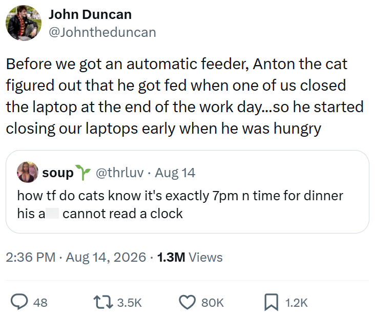 John Duncan @Johntheduncan Before we got an automatic feeder, Anton the cat figured out that he got fed when one of us closed the laptop at the end of the work day...so he started closing our laptops early when he was hungry soup@thrluv. Aug 14 how tf do cats know it's exactly 7pm n time for dinner cannot read a clock his a 2:36 PM Aug 14, 2026 1.3M Views • 48 13.5K 80K ☐ 1.2K