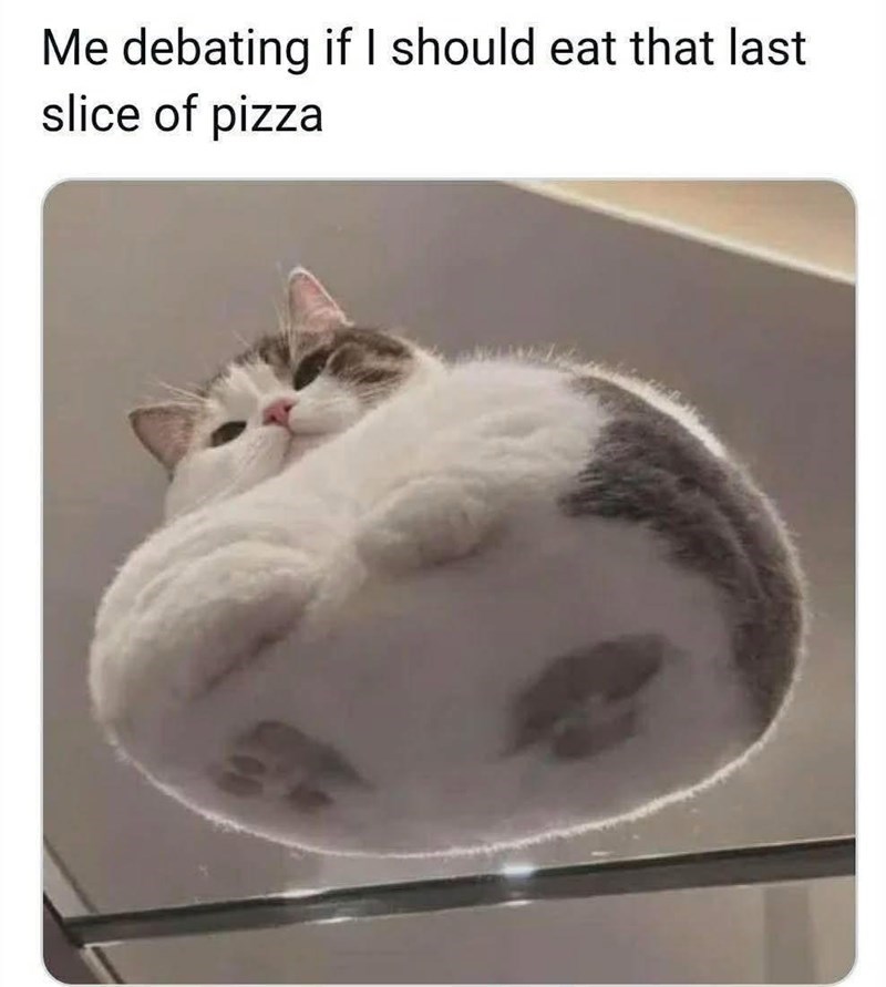 00 Me debating if I should eat that last slice of pizza