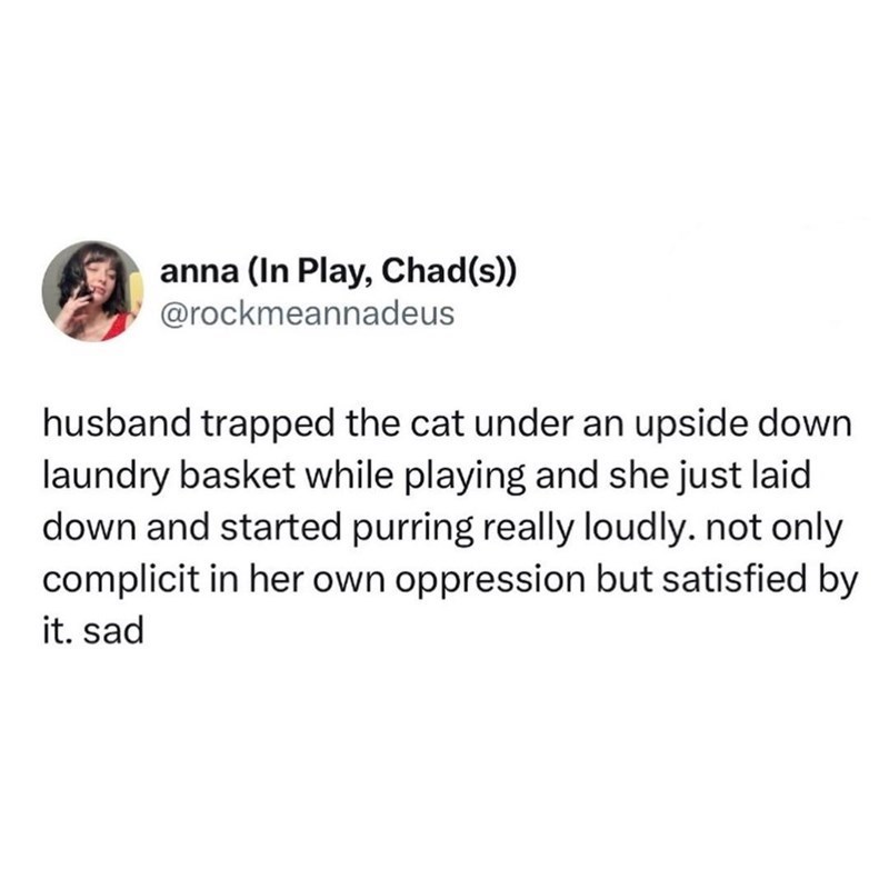 anna (In Play, Chad(s)) @rockmeannadeus husband trapped the cat under an upside down laundry basket while playing and she just laid down and started purring really loudly. not only complicit in her own oppression but satisfied by it. sad