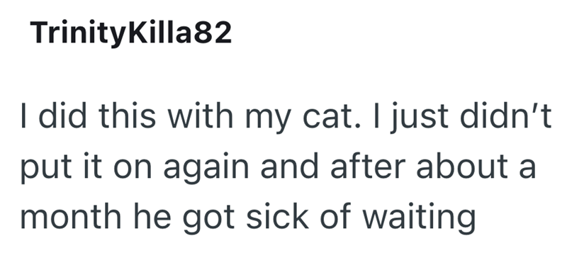 TrinityKilla82 I did this with my cat. I just didn't put it on again and after about a month he got sick of waiting