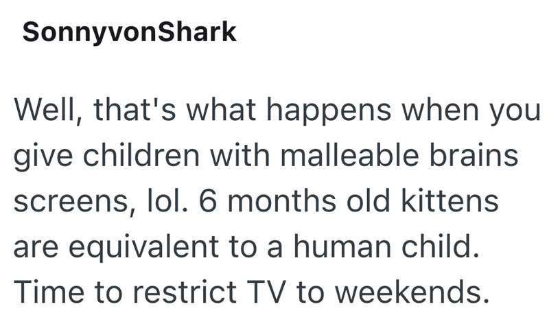 SonnyvonShark Well, that's what happens when you give children with malleable brains screens, lol. 6 months old kittens are equivalent to a human child. Time to restrict TV to weekends.
