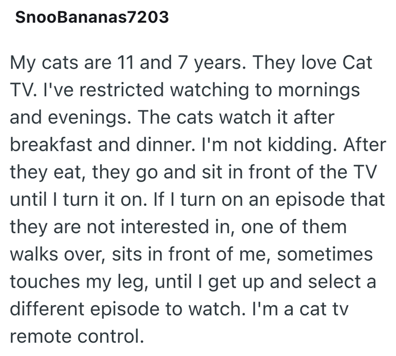 SnooBananas7203 My cats are 11 and 7 years. They love Cat TV. I've restricted watching to mornings and evenings. The cats watch it after breakfast and dinner. I'm not kidding. After they eat, they go and sit in front of the TV until I turn it on. If I turn on an episode that they are not interested in, one of them walks over, sits in front of me, sometimes touches my leg, until I get up and select a different episode to watch. I'm a cat tv remote control.