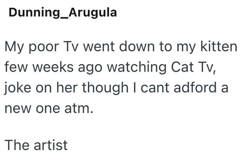 Dunning_Arugula My poor Tv went down to my kitten few weeks ago watching Cat Tv, joke on her though I cant adford a new one atm. The artist