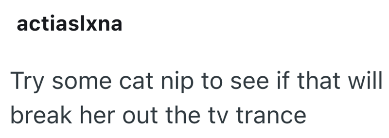 actiaslxna Try some cat nip to see if that will break her out the tv trance