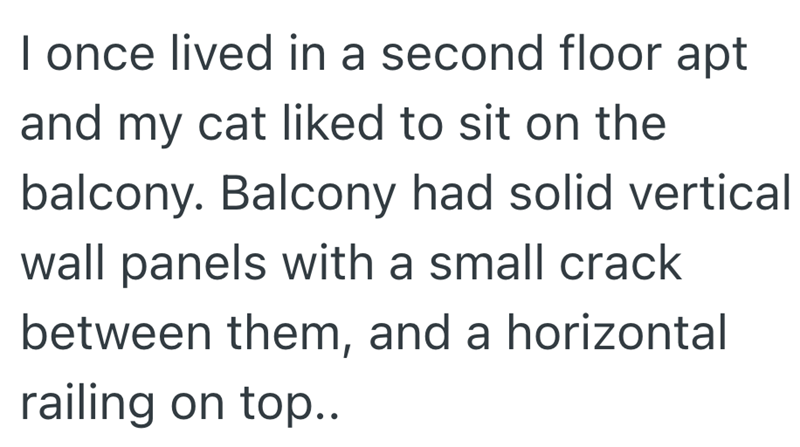 I once lived in a second floor apt and my cat liked to sit on the balcony. Balcony had solid vertical wall panels with a small crack between them, and a horizontal railing on top..