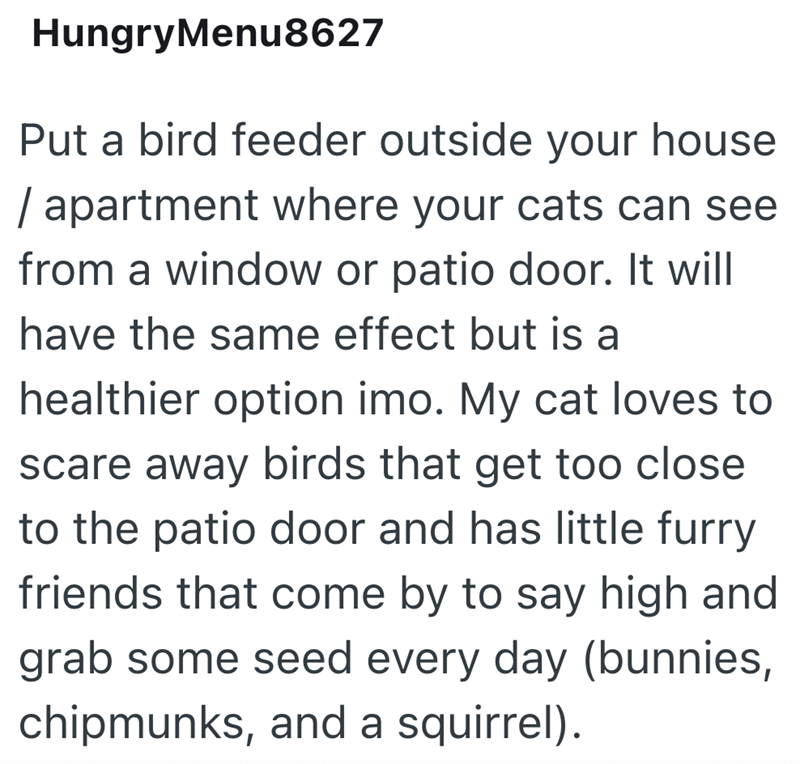 Hungry Menu8627 Put a bird feeder outside your house /apartment where your cats can see from a window or patio door. It will have the same effect but is a healthier option imo. My cat loves to scare away birds that get too close to the patio door and has little furry friends that come by to say high and grab some seed every day (bunnies, chipmunks, and a squirrel).