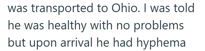 was transported to Ohio. I was told he was healthy with no problems but upon arrival he had hyphema