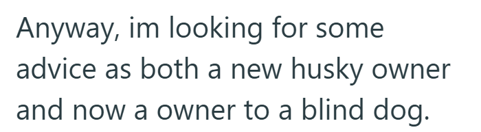 Anyway, im looking for some advice as both a new husky owner and now a owner to a blind dog.