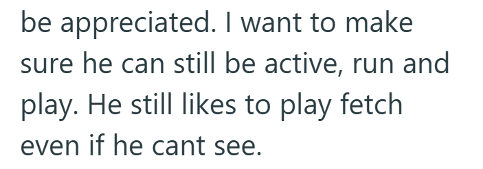 be appreciated. I want to make sure he can still be active, run and play. He still likes to play fetch even if he cant see.
