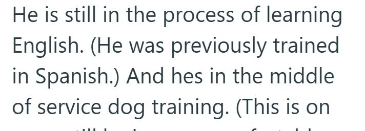 He is still in the process of learning English. (He was previously trained in Spanish.) And hes in the middle of service dog training. (This is on
