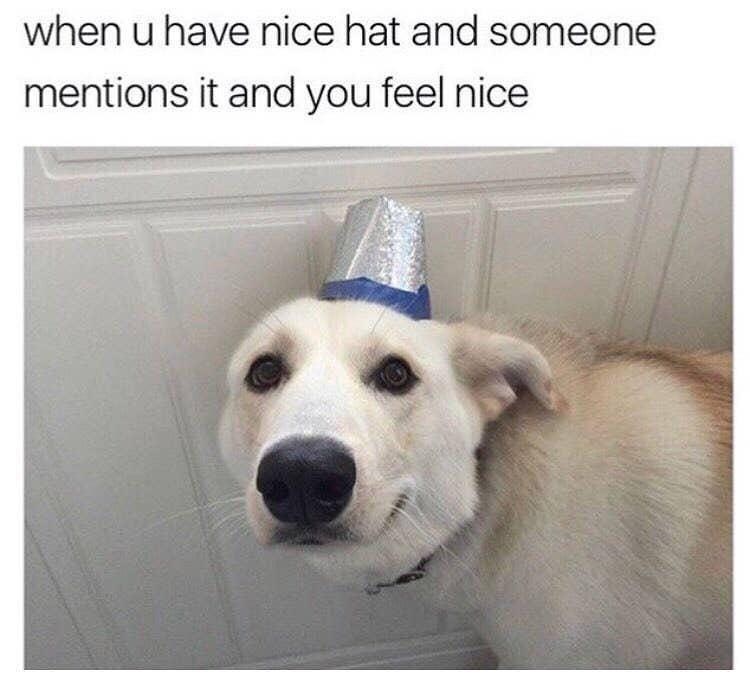 when u have nice hat and someone mentions it and you feel nice