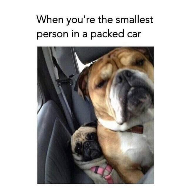 When you're the smallest person in a packed car