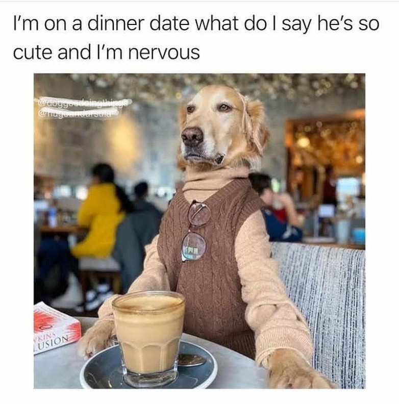 I'm on a dinner date what do I say he's so cute and I'm nervous @doggoodaingling @nageandursaid KINS LUSION P
