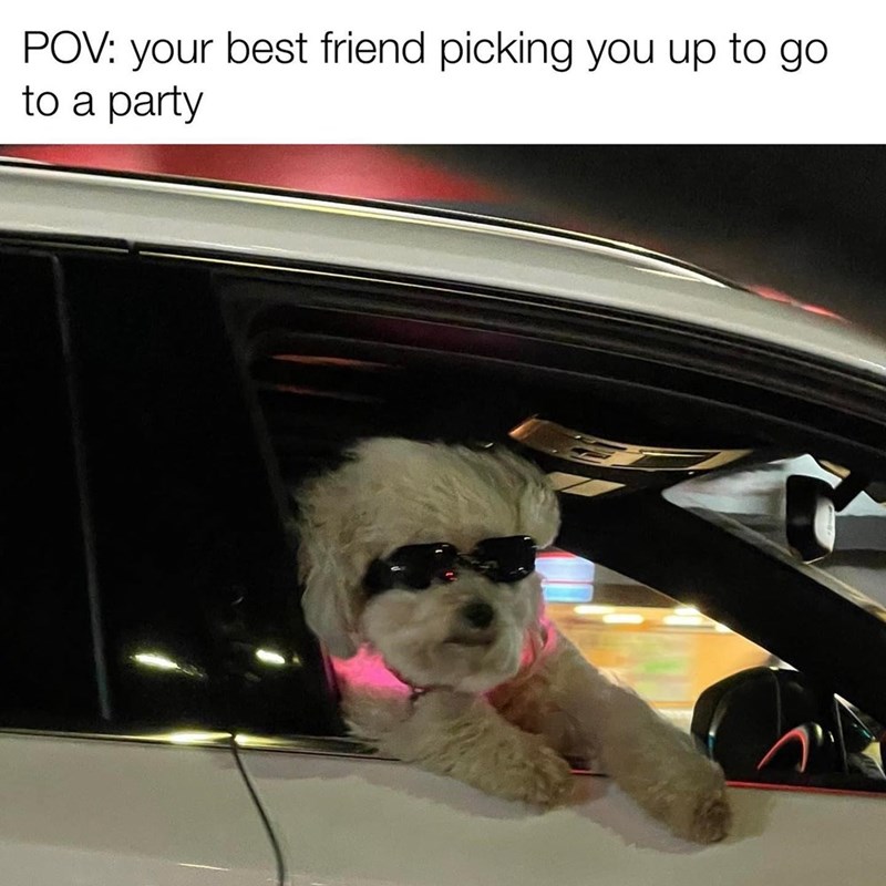 POV: your best friend picking you up to go. to a party