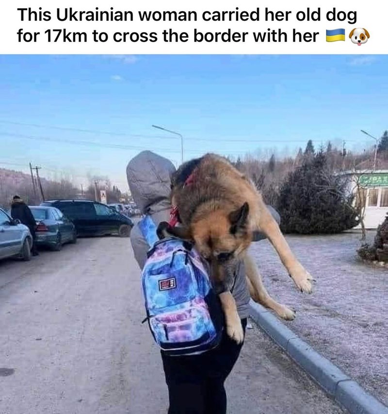 This Ukrainian woman carried her old dog for 17km to cross the border with her